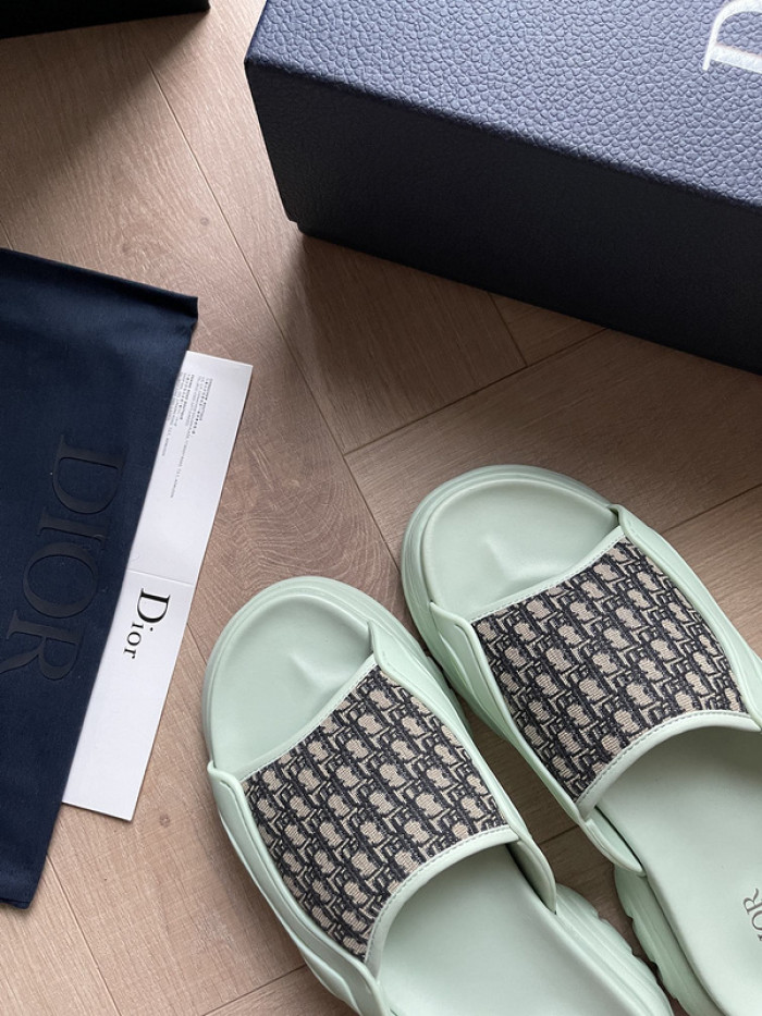 D1R* SLIDE copshoe DR-SLIDE 008