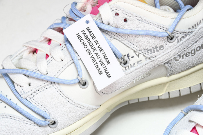 of x dunk low 