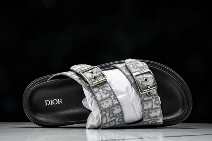 D1R* SLIDE copshoe DR-SLIDE 014