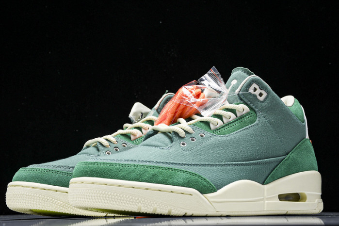 nina Ch*el abney x air jordan 3 fz7974-300
