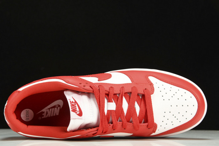 dunk low retro sp 