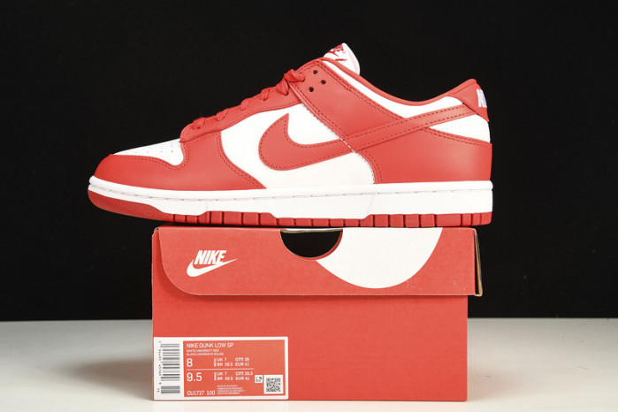 dunk low retro sp 